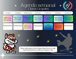 Curso intensivo